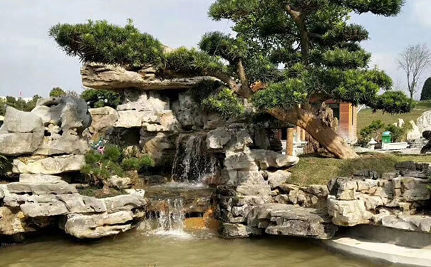 庭院太湖石
